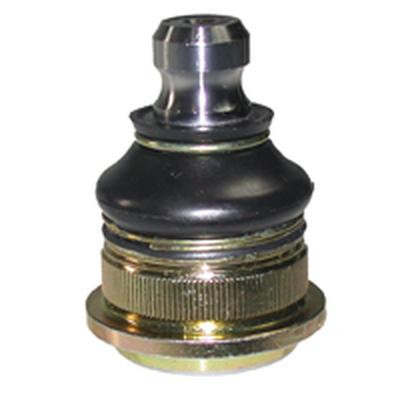 BIRTCX0106